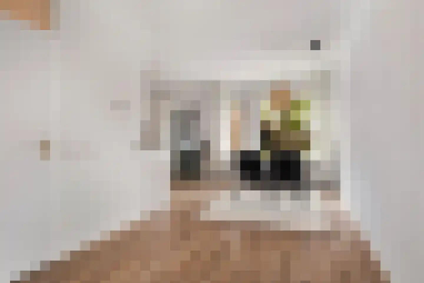Botterweg 2 Harlingen thumbnail 12