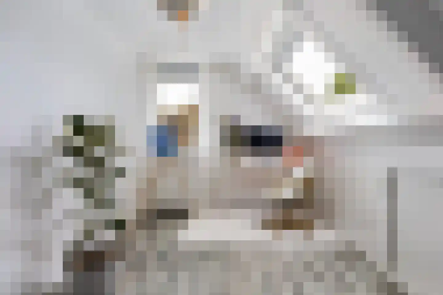 Botterweg 2 Harlingen thumbnail 30