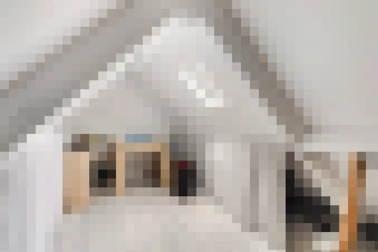 Botterweg 2 Harlingen thumbnail 36