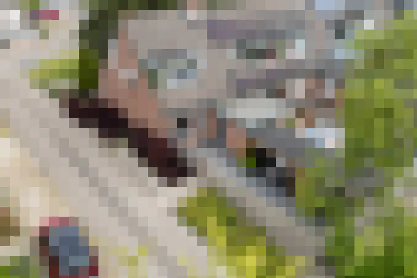 Botterweg 2 Harlingen thumbnail 37