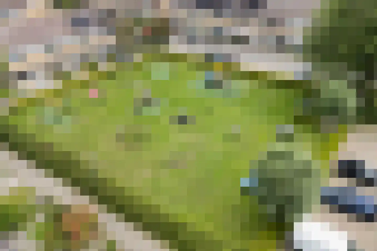 Botterweg 2 Harlingen thumbnail 38