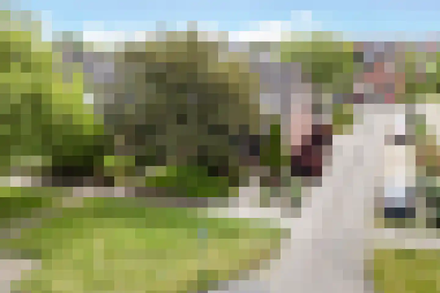 Botterweg 2 Harlingen thumbnail 4
