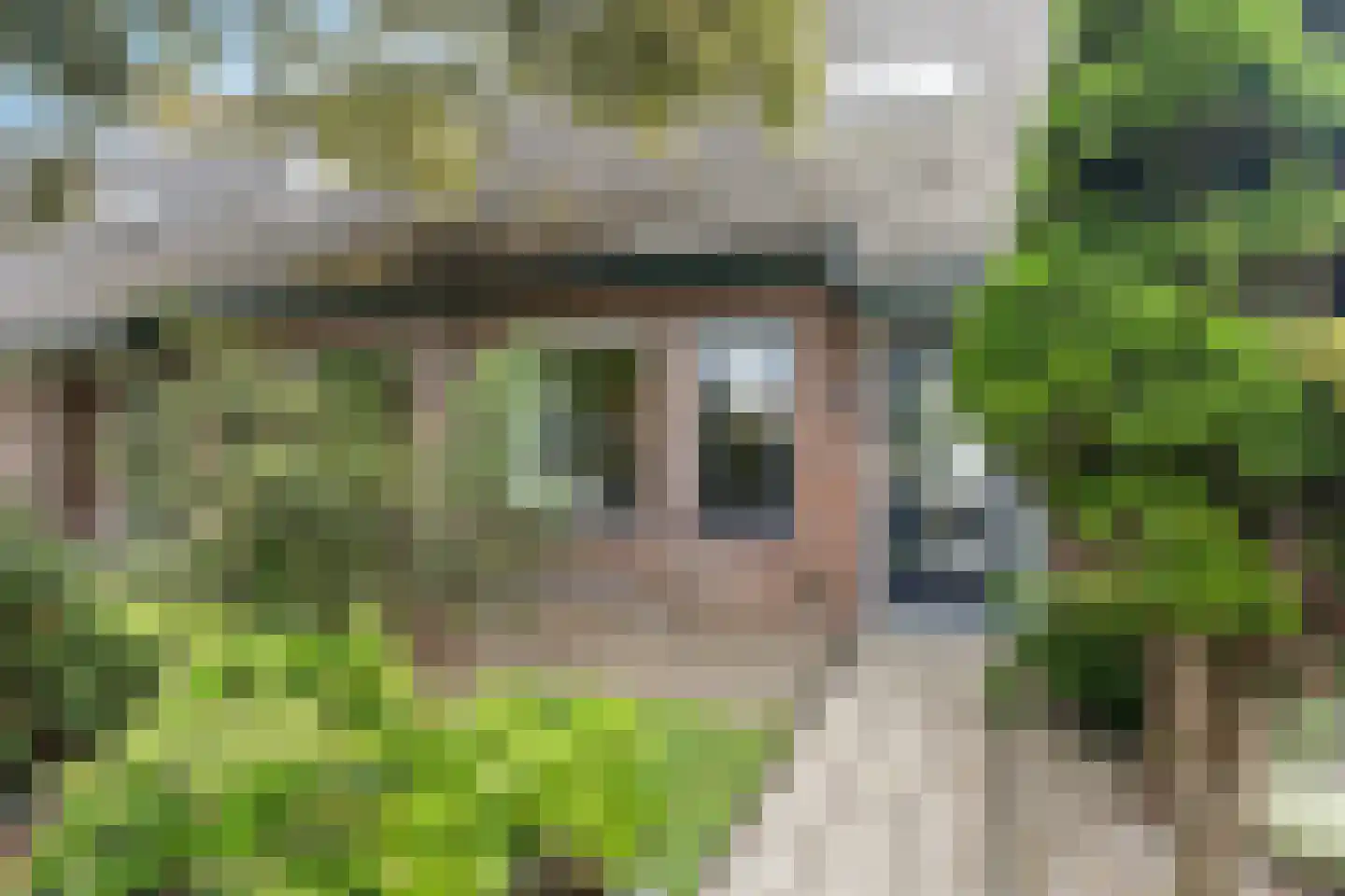 Botterweg 2 Harlingen thumbnail 5