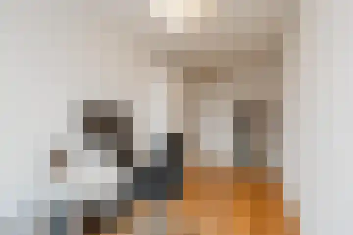Botterweg 63 Diemen thumbnail 27