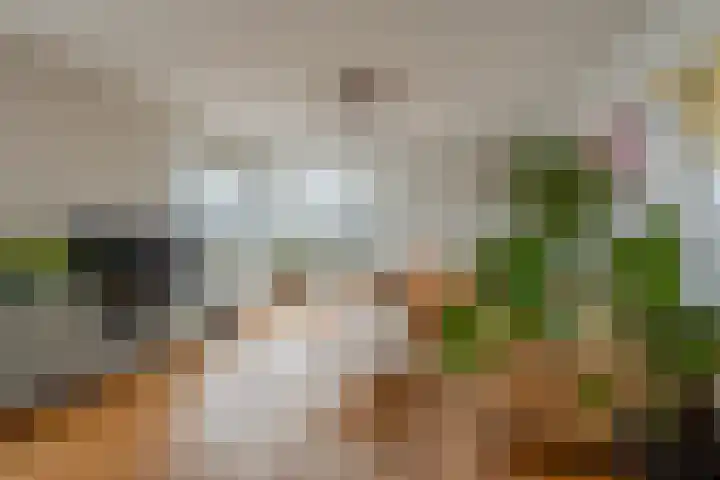 Botterweg 63 Diemen thumbnail 5