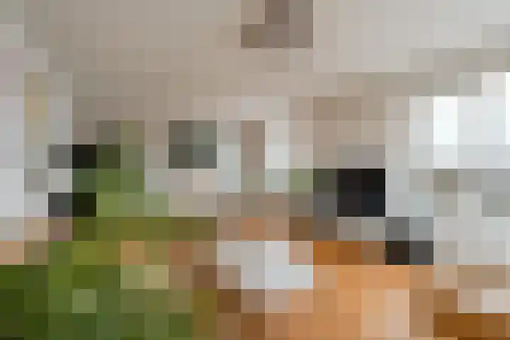 Botterweg 63 Diemen thumbnail 9