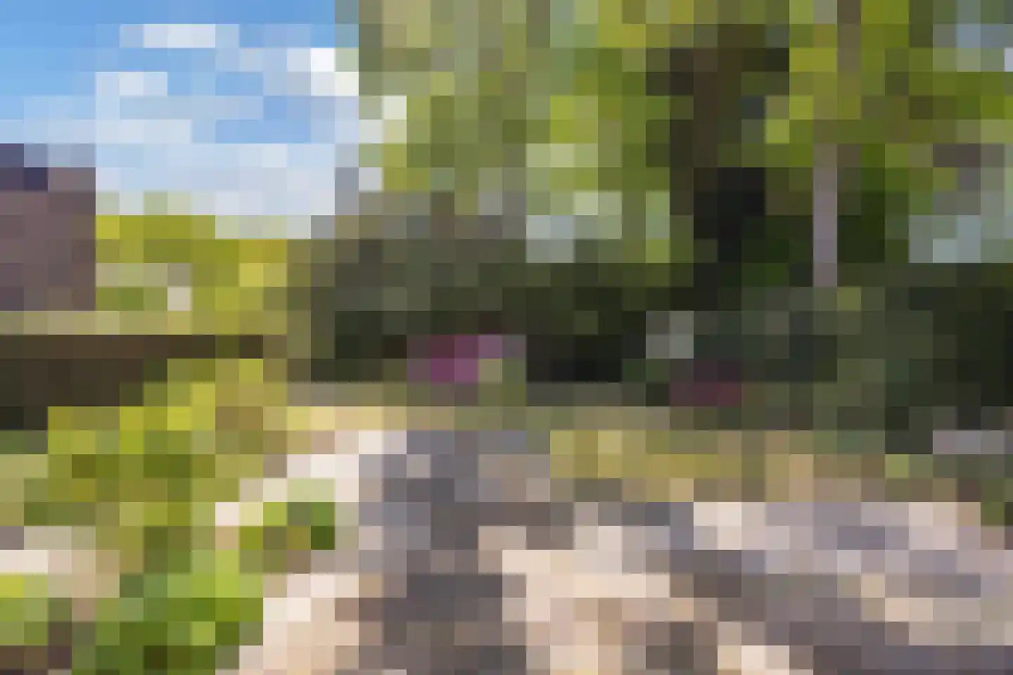 Botterwijnseweg 7 Huizen thumbnail 17