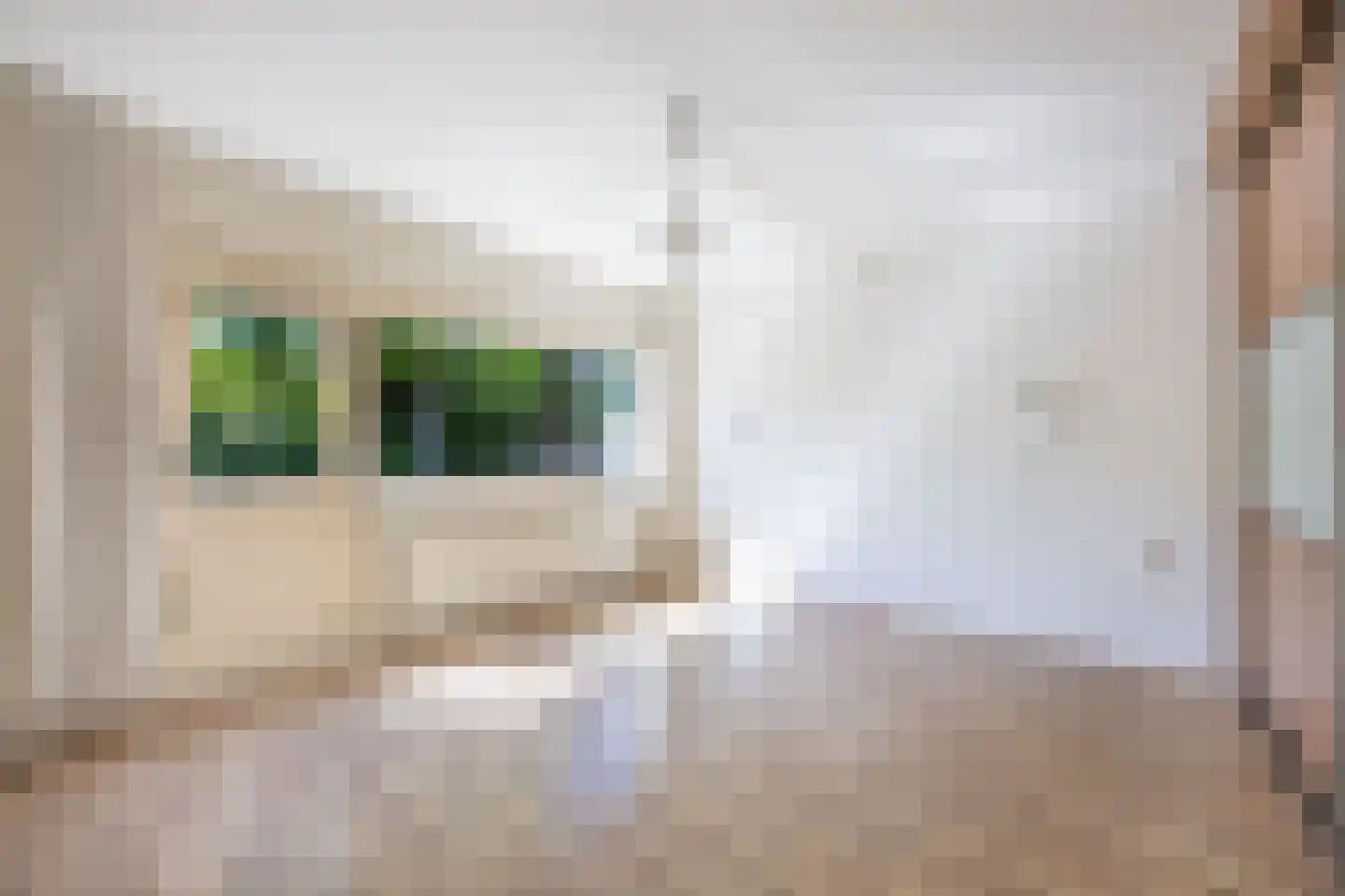 Botterwijnseweg 7 Huizen thumbnail 30