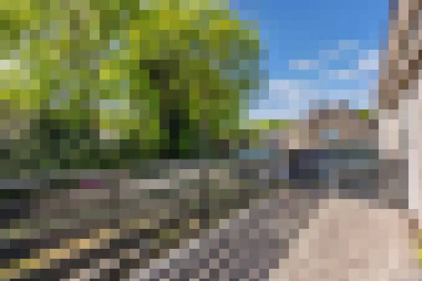Botterwijnseweg 7 Huizen thumbnail 32