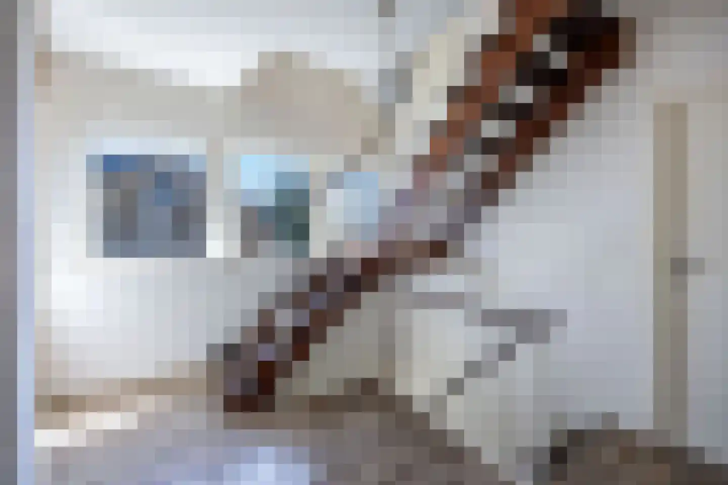 Botterwijnseweg 7 Huizen thumbnail 36