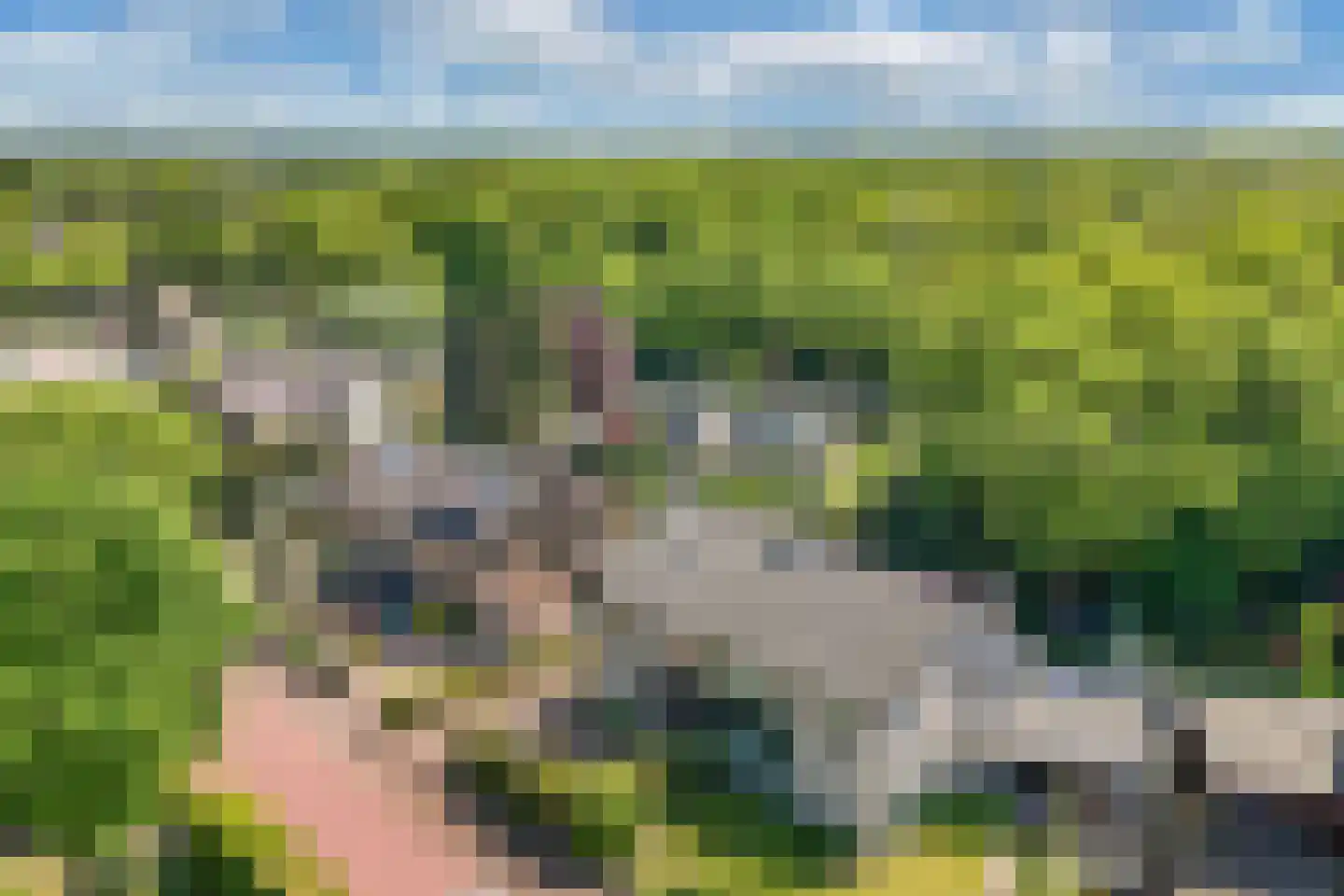 Botterwijnseweg 7 Huizen thumbnail 4