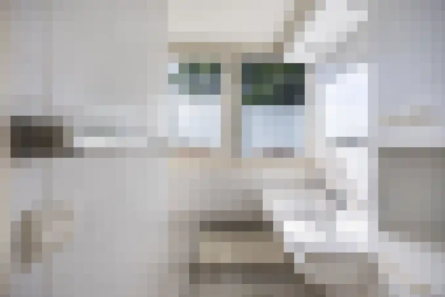 Botterwijnseweg 7 Huizen thumbnail 42