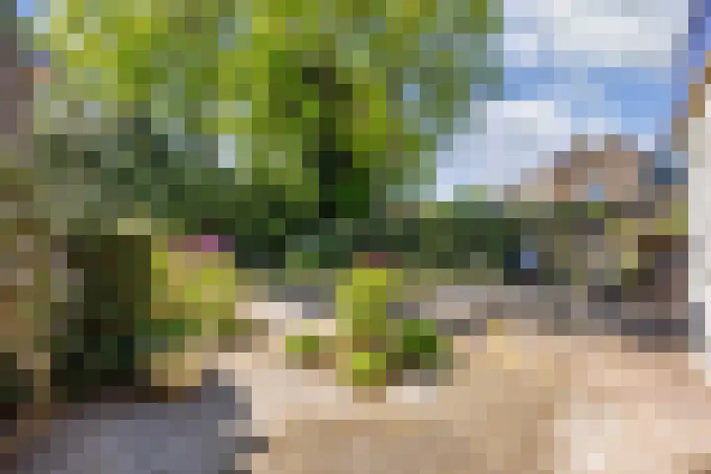 Botterwijnseweg 7 Huizen thumbnail 49