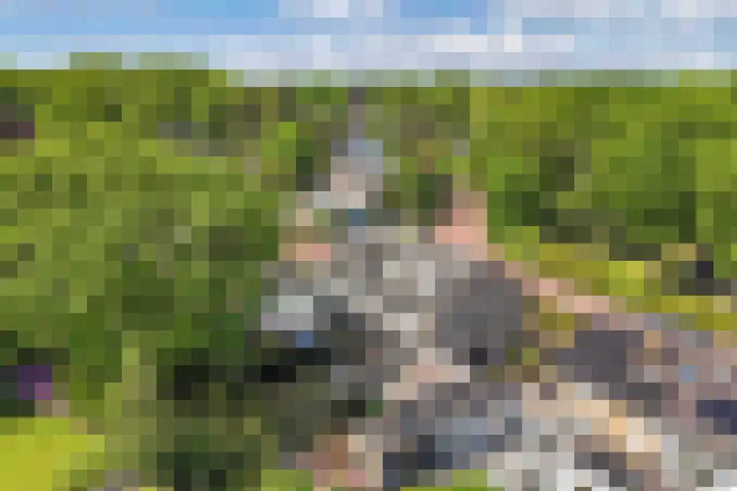 Botterwijnseweg 7 Huizen thumbnail 51