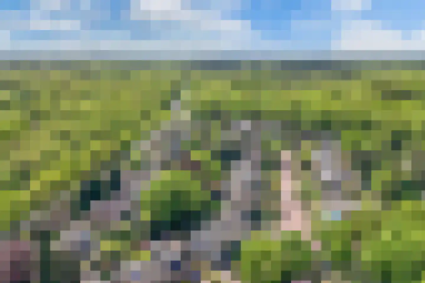 Botterwijnseweg 7 Huizen thumbnail 52