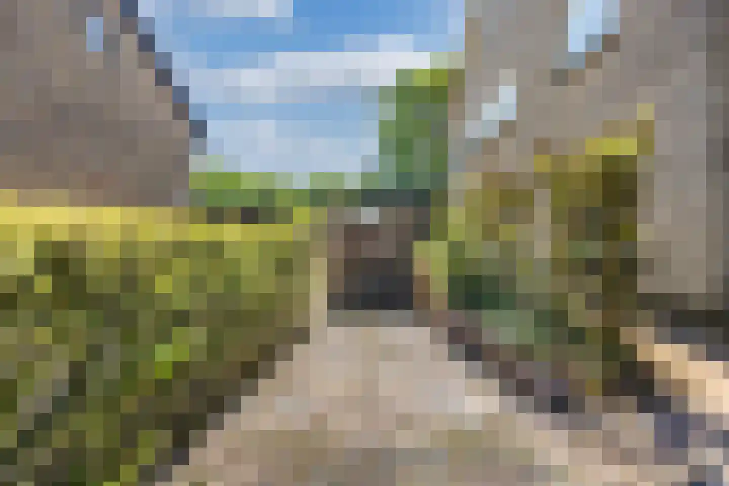 Botterwijnseweg 7 Huizen thumbnail 6