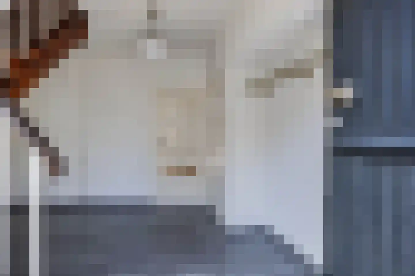 Botterwijnseweg 7 Huizen thumbnail 7