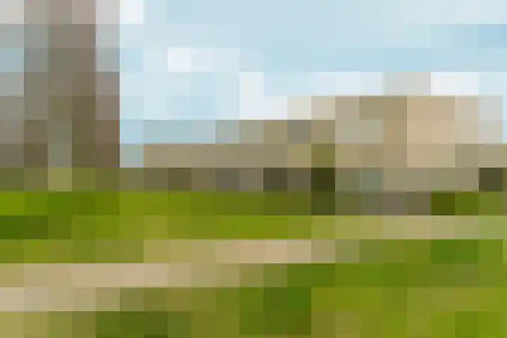 Botticelliplantsoen 6 Almere thumbnail 39