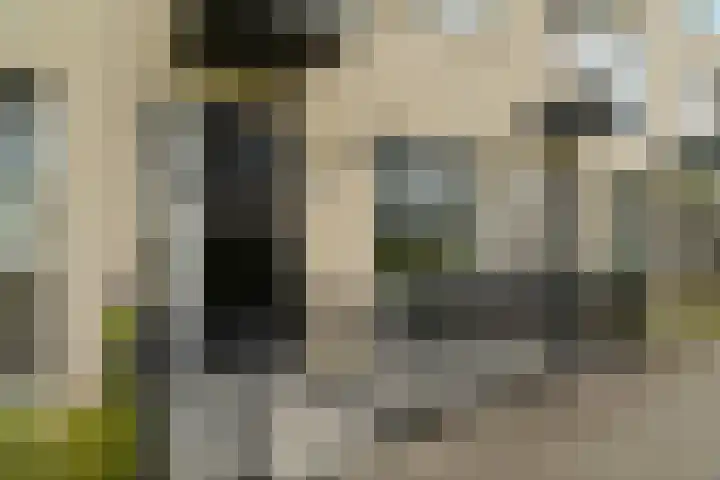 Botticelliplantsoen 6 Almere thumbnail 6