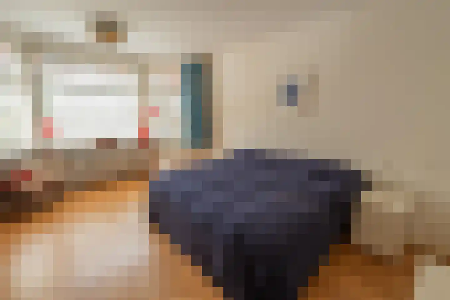 Botticellistraat 31 Amsterdam thumbnail 13