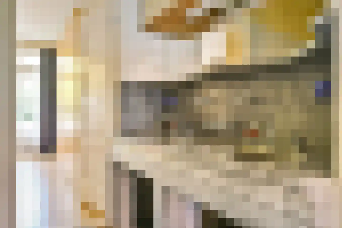 Botticellistraat 31 Amsterdam thumbnail 16