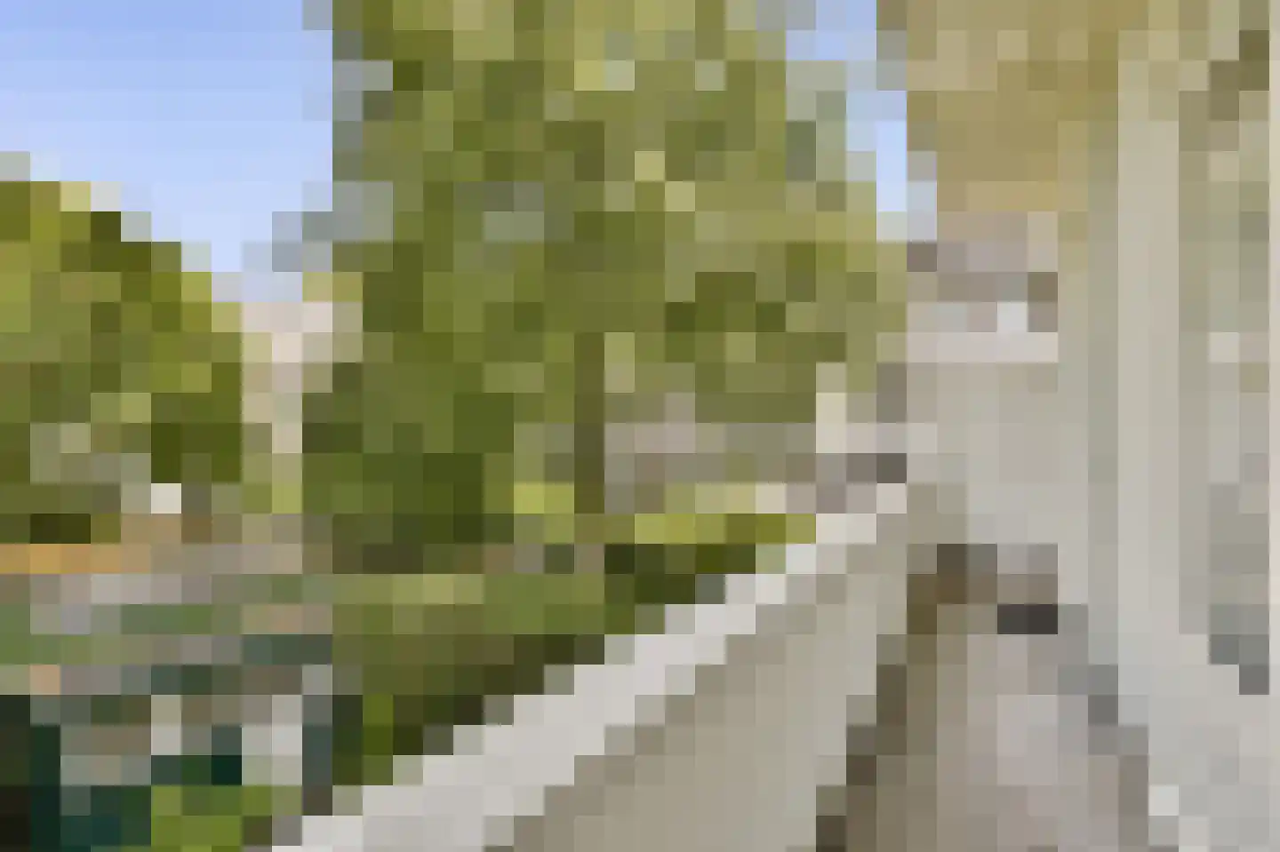 Botticellistraat 31 Amsterdam thumbnail 20