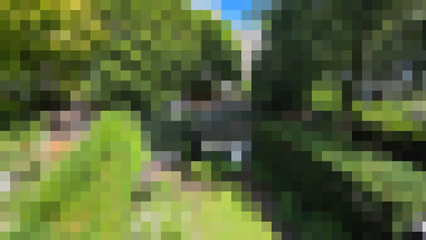 Botticellistraat 31 Amsterdam thumbnail 21