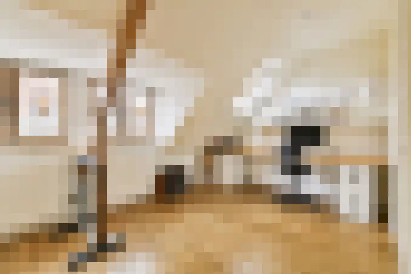 Botticellistraat 31 Amsterdam thumbnail 23