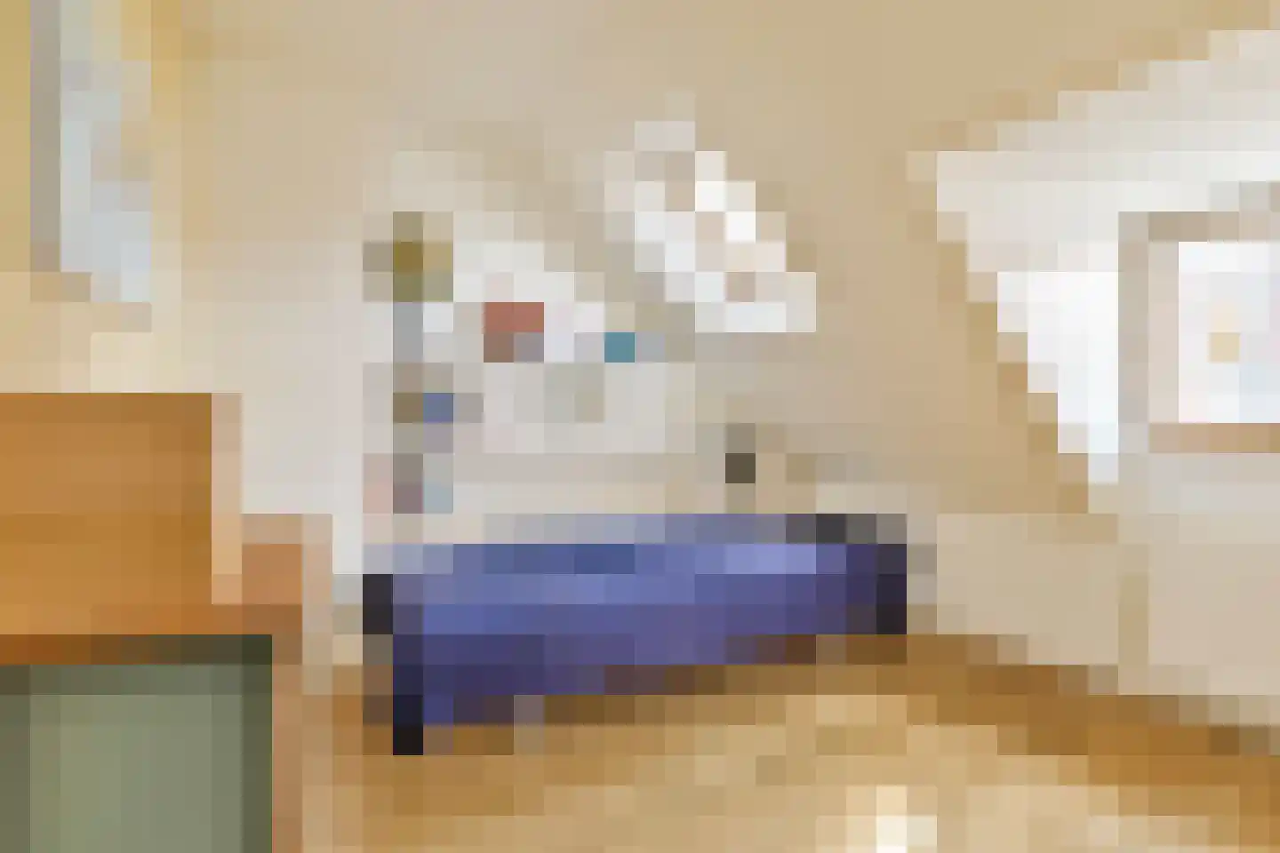 Botticellistraat 31 Amsterdam thumbnail 24