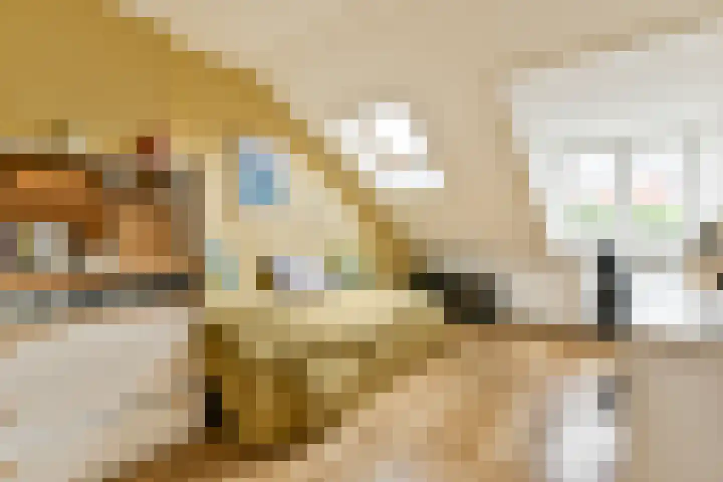 Botticellistraat 31 Amsterdam thumbnail 25