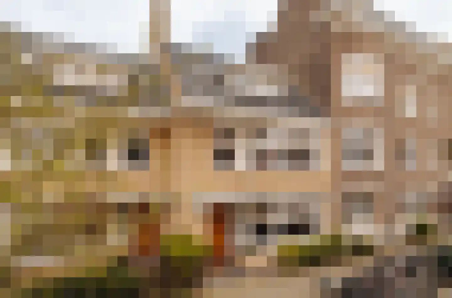 Botticellistraat 33 Amsterdam