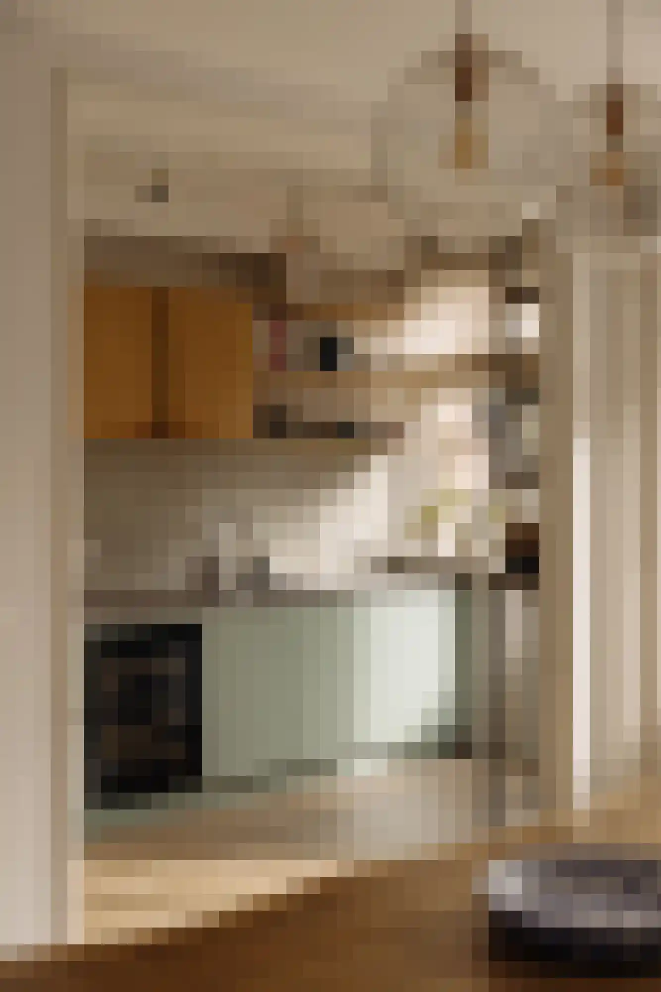 Botticellistraat 33 Amsterdam thumbnail 13