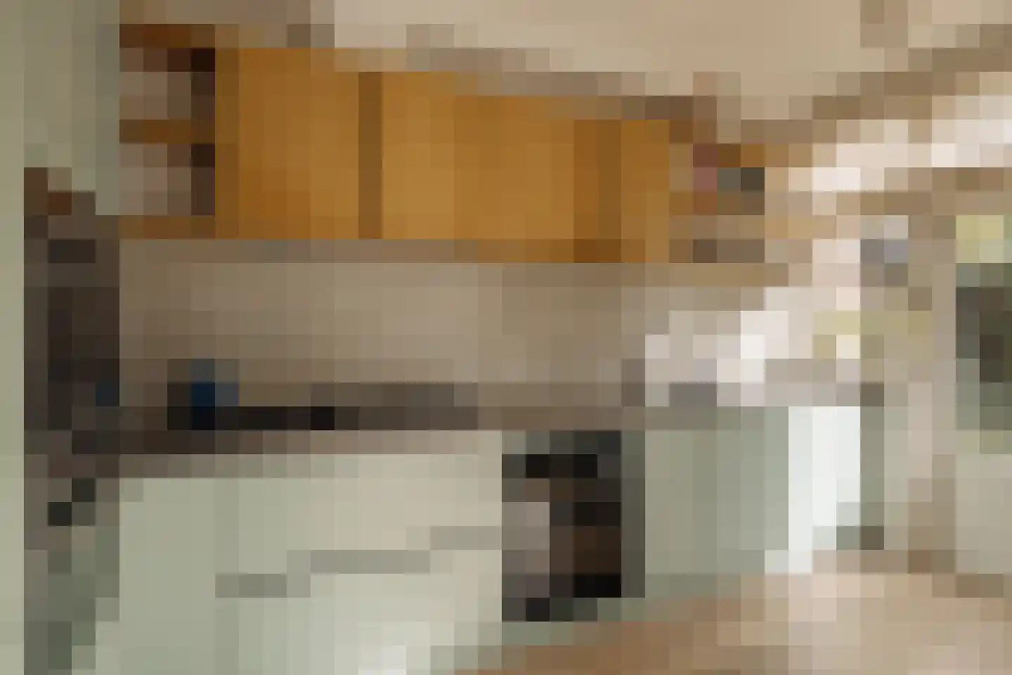 Botticellistraat 33 Amsterdam thumbnail 14