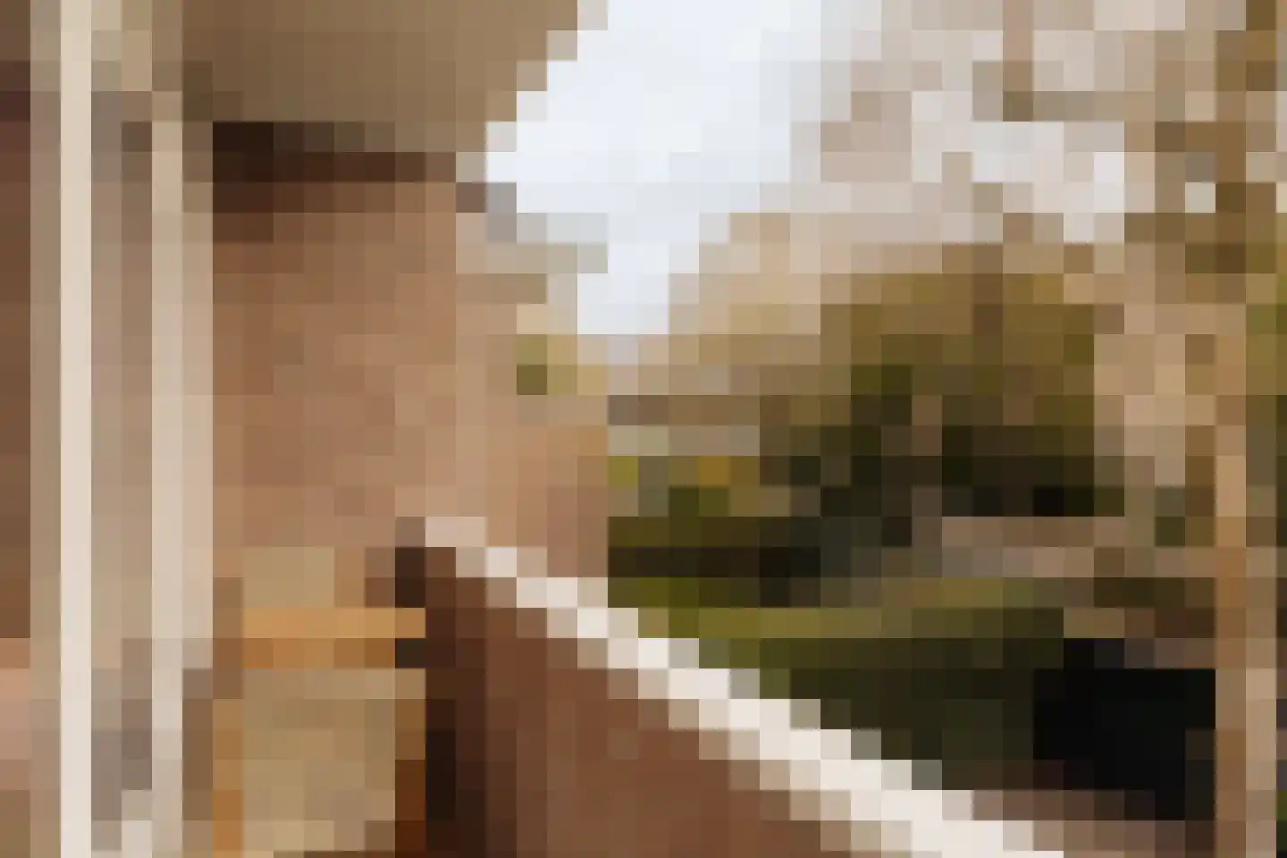 Botticellistraat 33 Amsterdam thumbnail 24