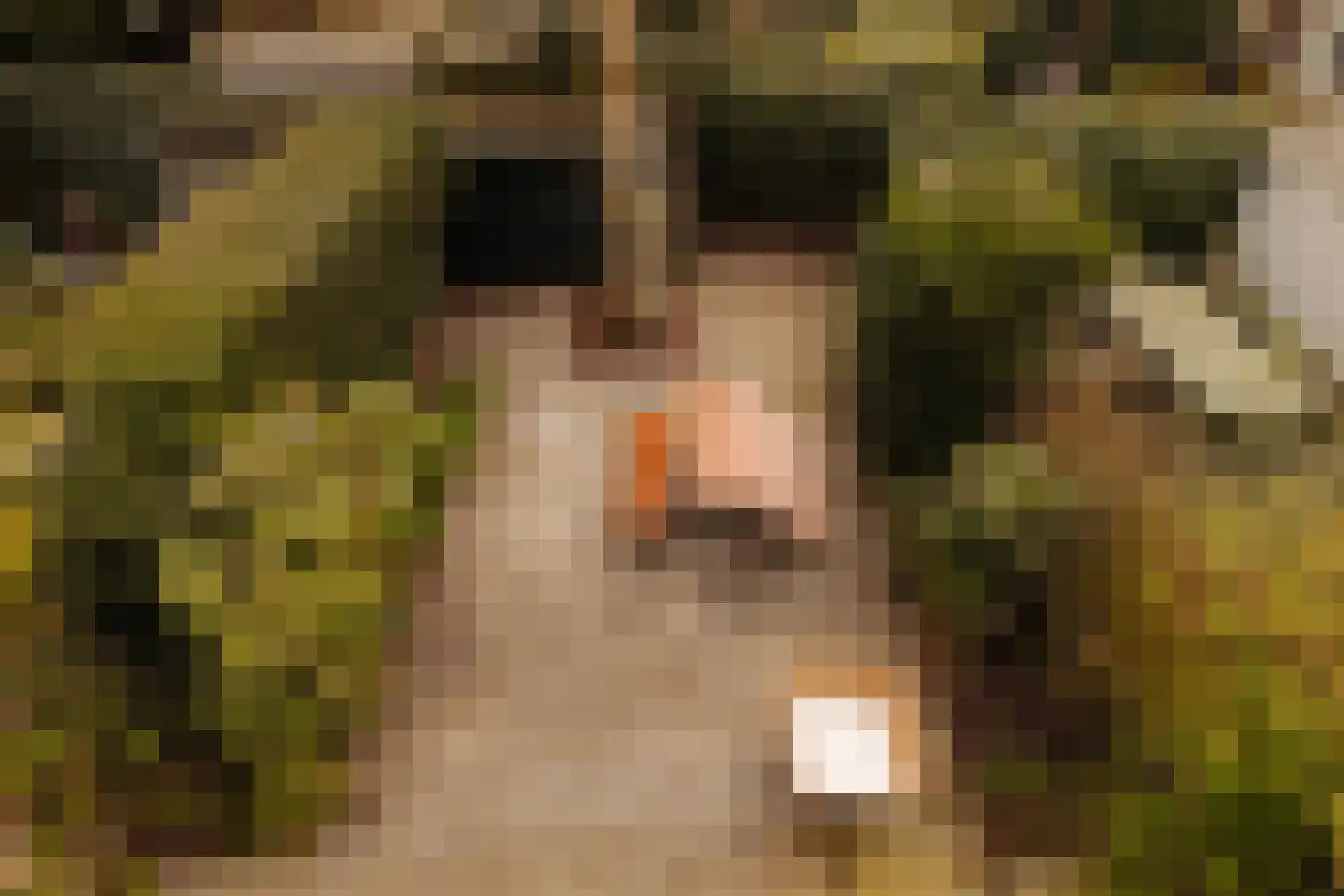 Botticellistraat 33 Amsterdam thumbnail 25