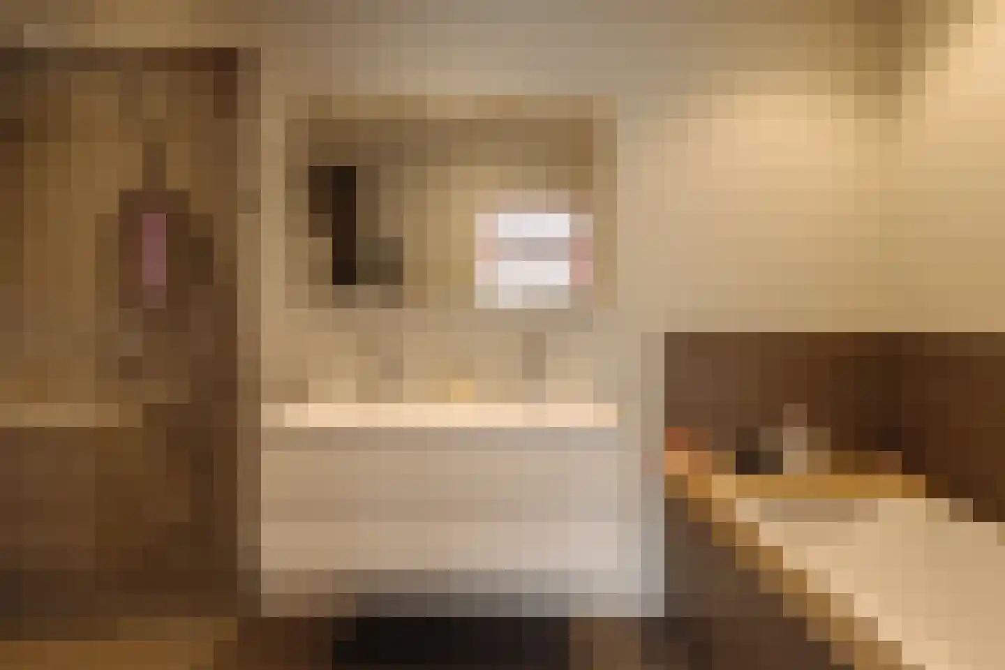 Botticellistraat 33 Amsterdam thumbnail 26