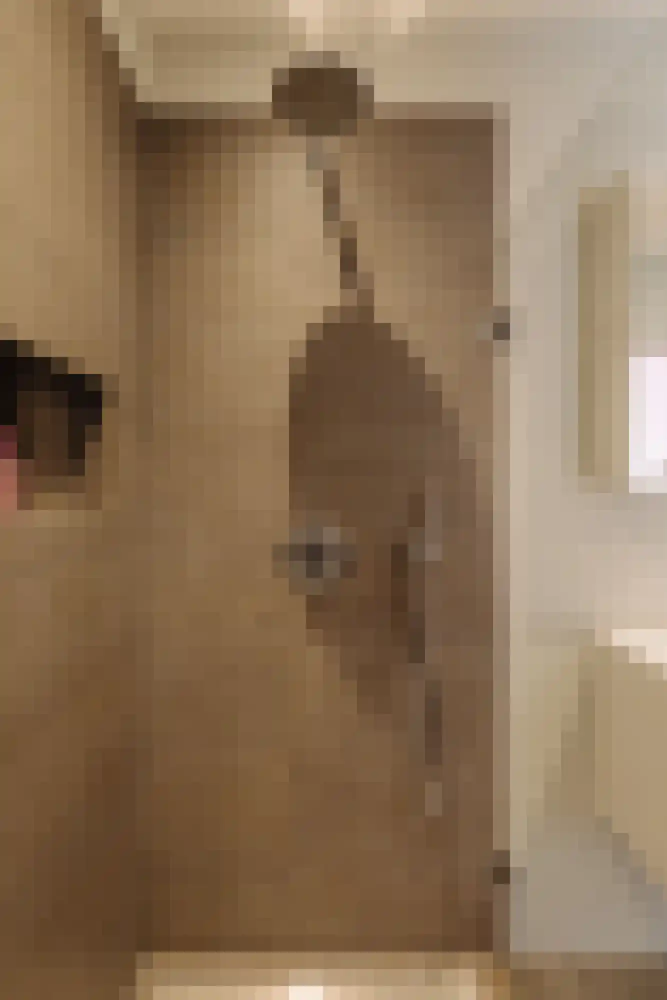Botticellistraat 33 Amsterdam thumbnail 28
