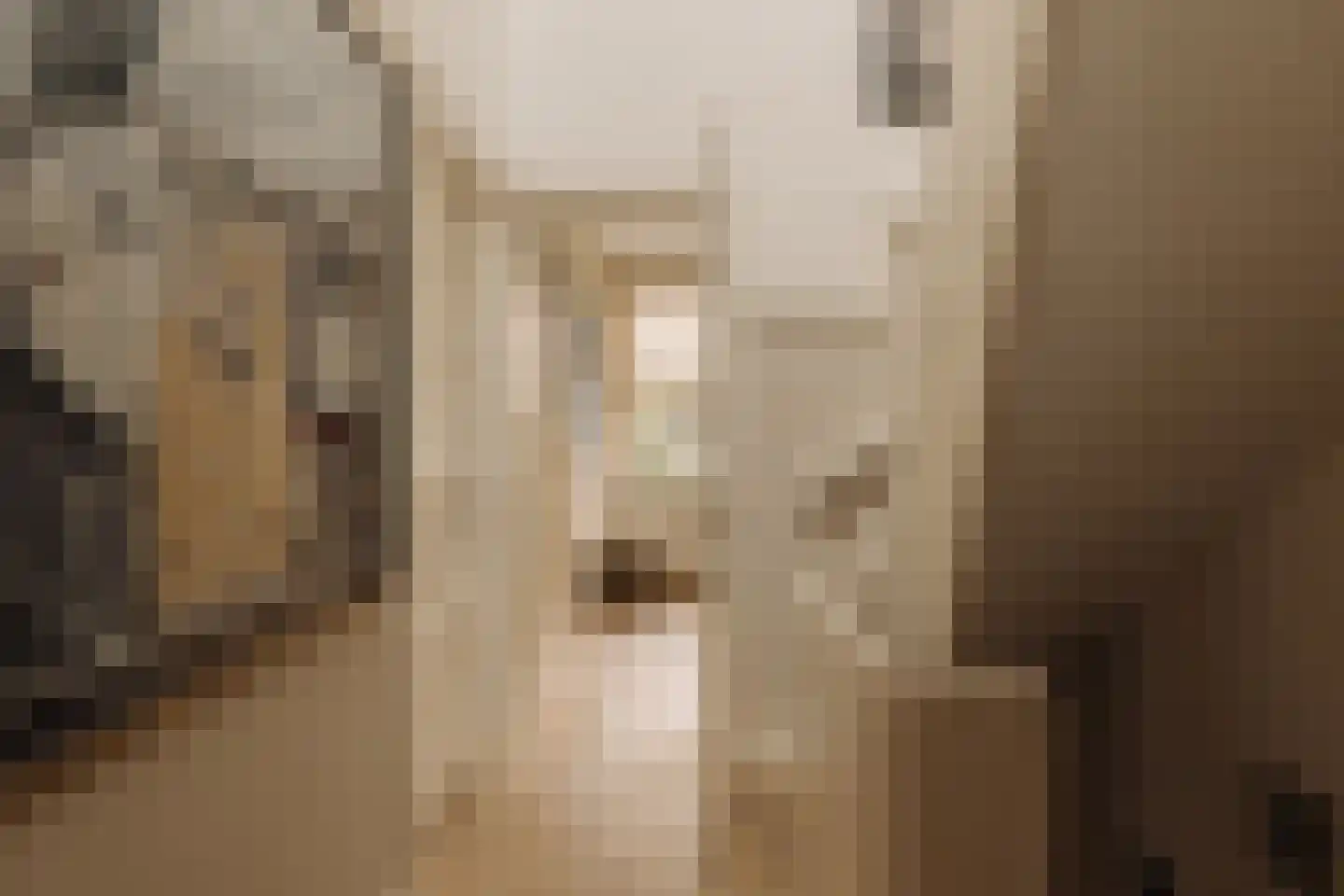 Botticellistraat 33 Amsterdam thumbnail 30