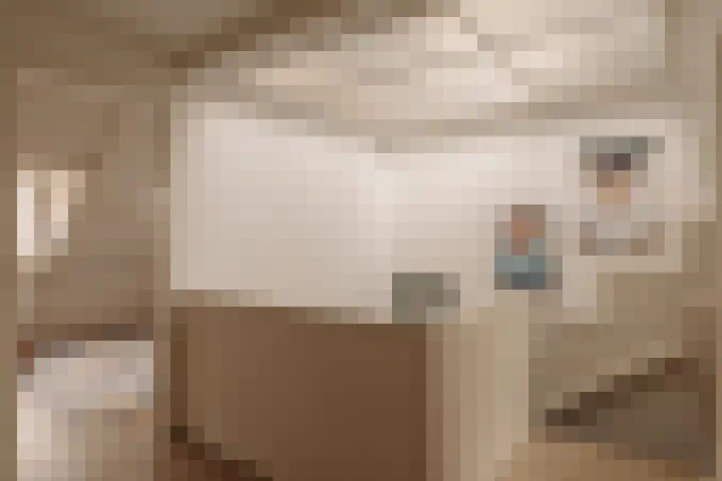 Botticellistraat 33 Amsterdam thumbnail 37