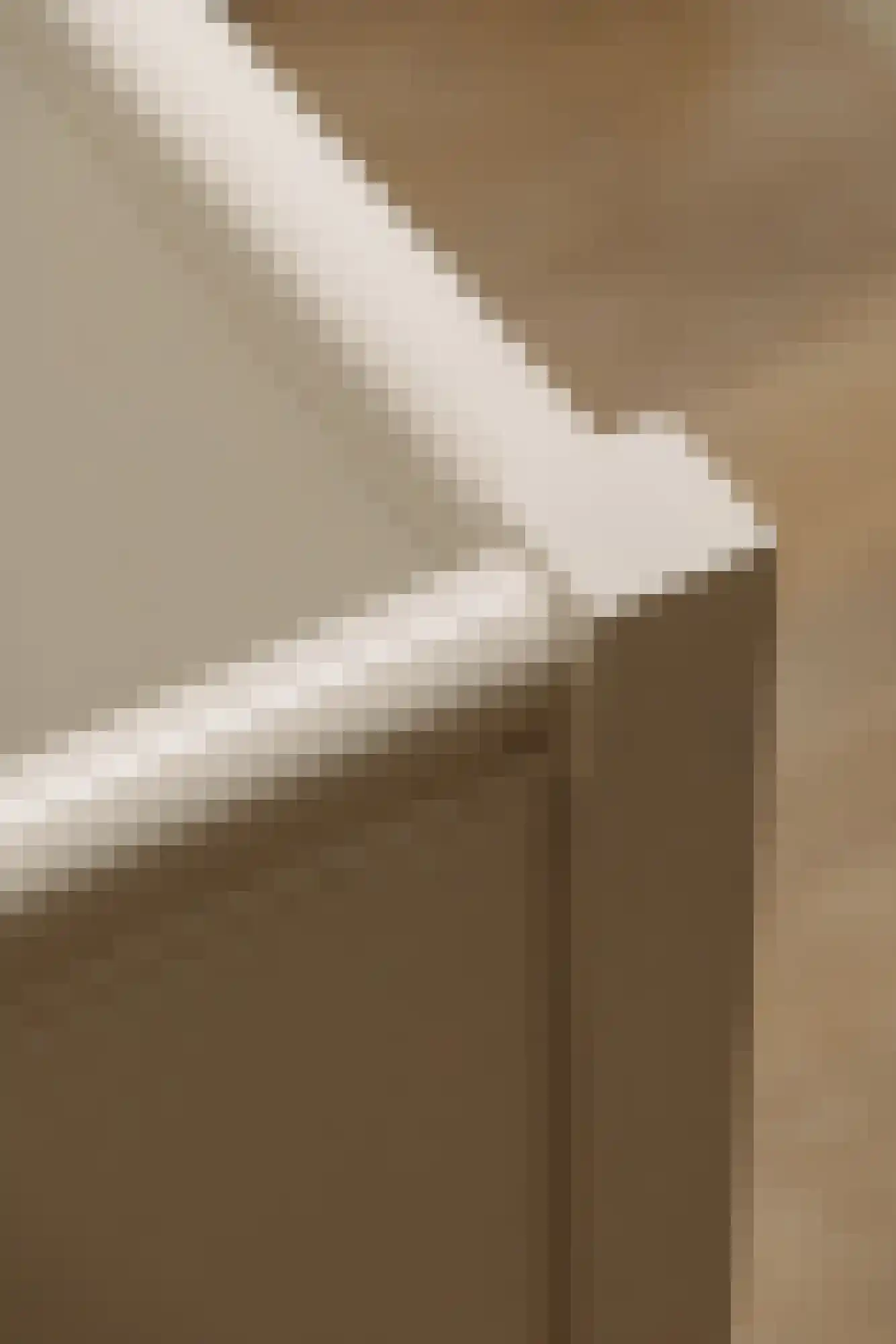 Botticellistraat 33 Amsterdam thumbnail 38