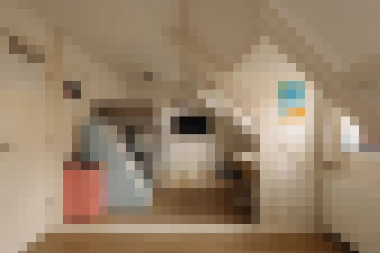 Botticellistraat 33 Amsterdam thumbnail 39