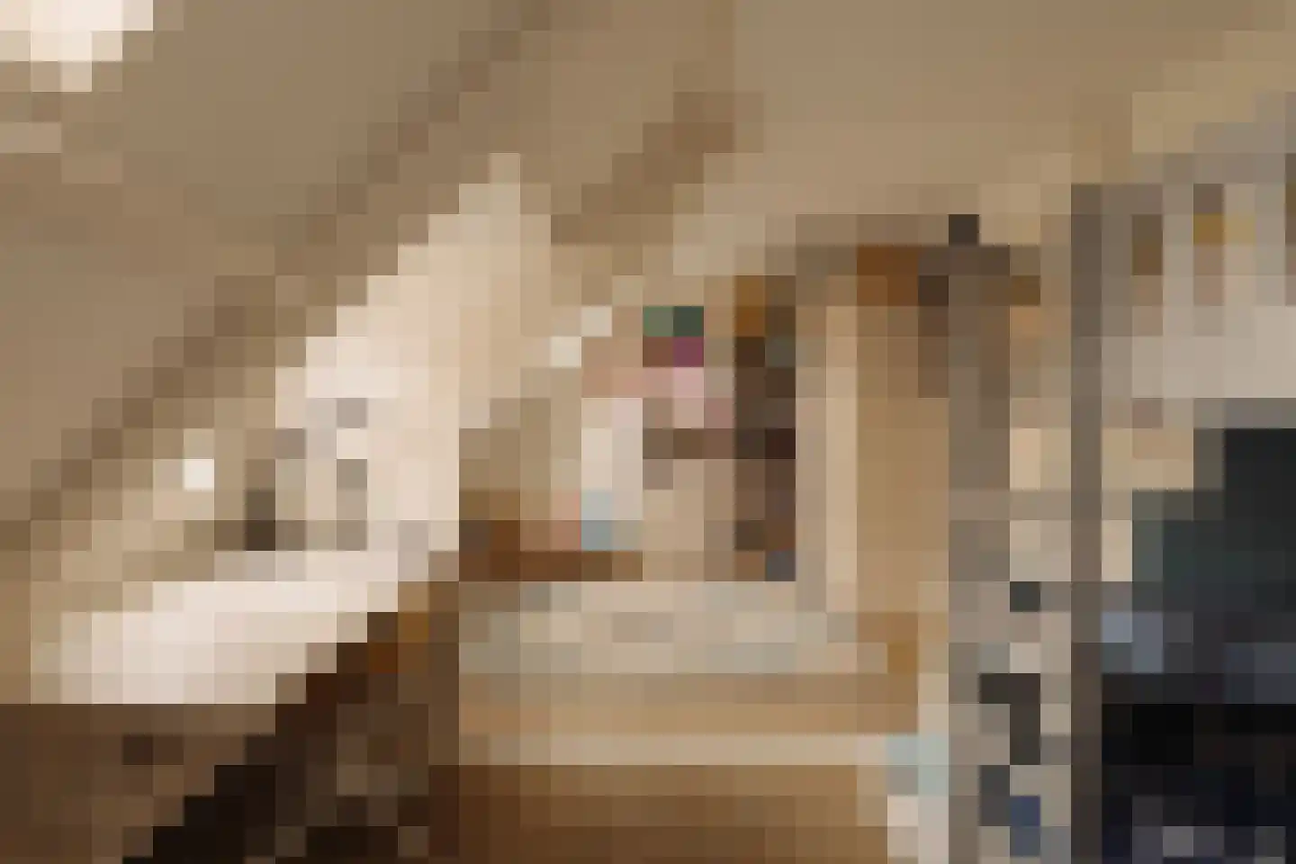 Botticellistraat 33 Amsterdam thumbnail 40