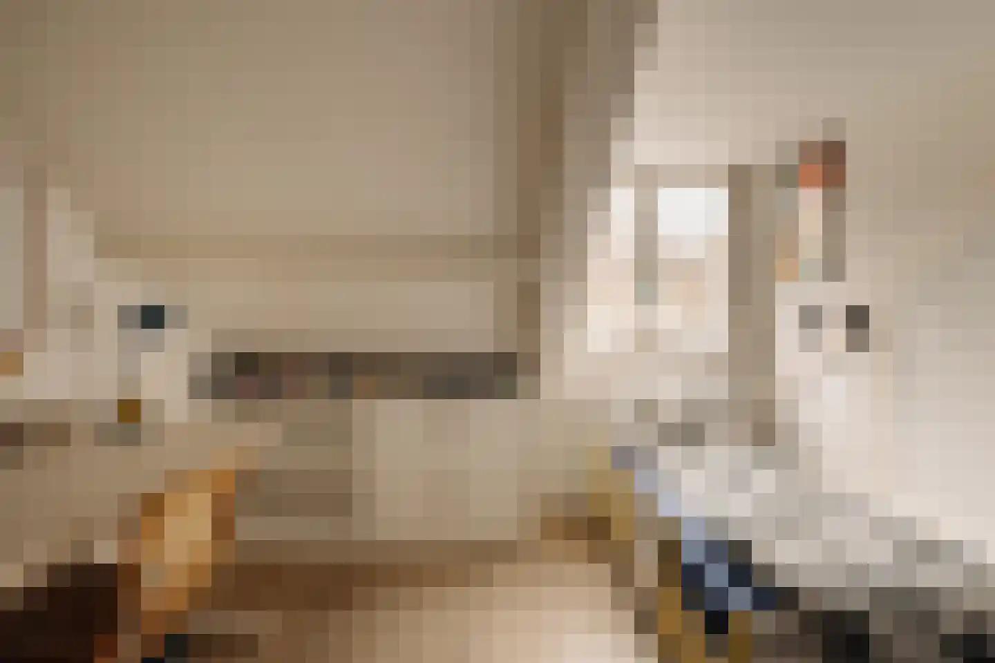 Botticellistraat 33 Amsterdam thumbnail 41