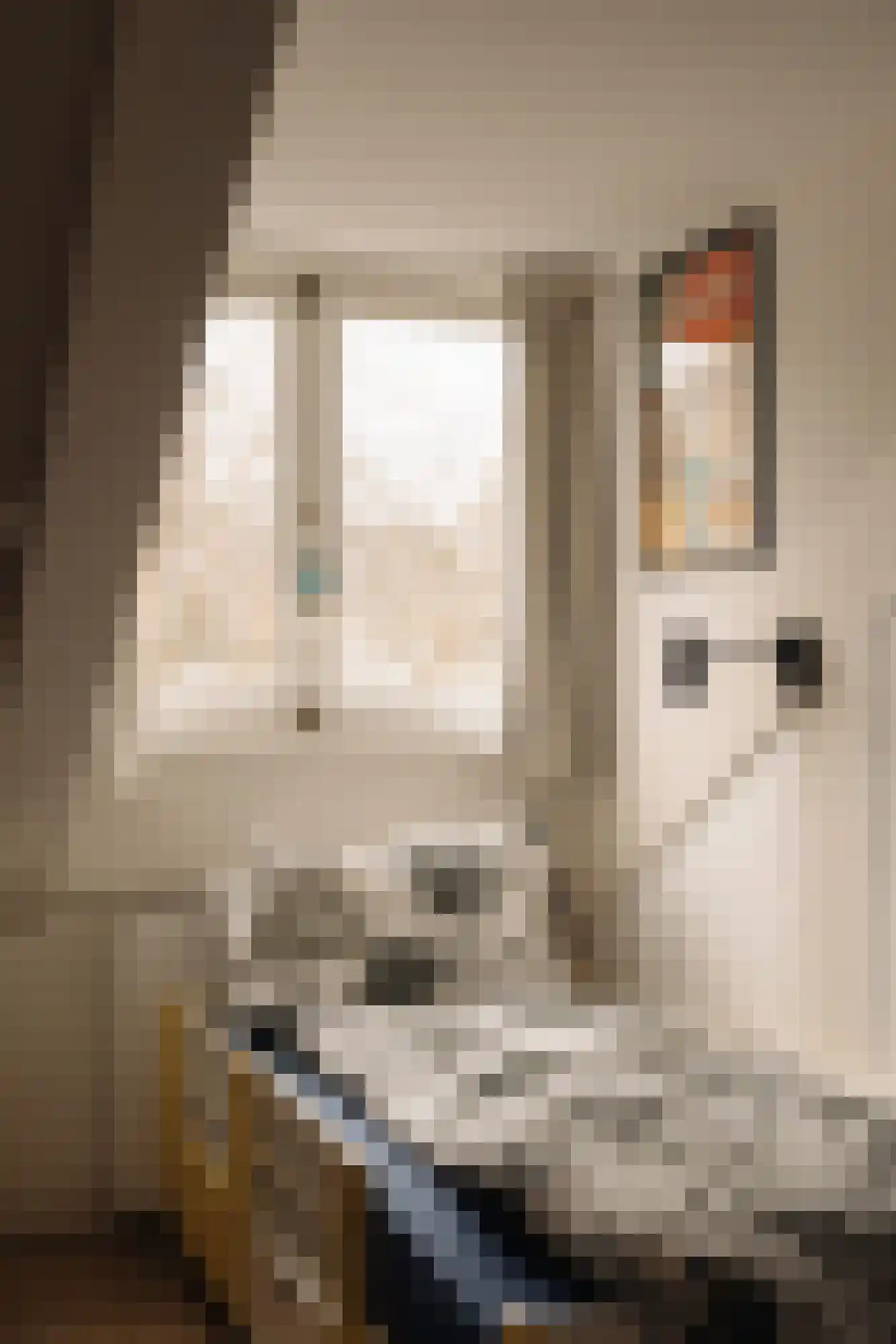 Botticellistraat 33 Amsterdam thumbnail 42