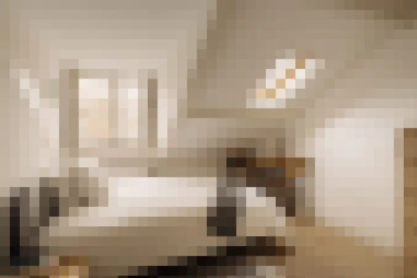 Botticellistraat 33 Amsterdam thumbnail 43