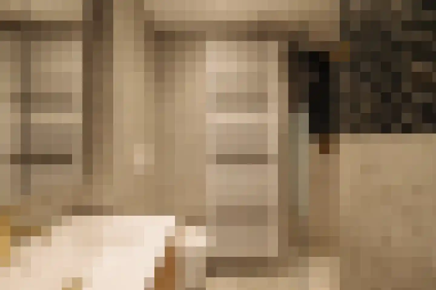 Botticellistraat 33 Amsterdam thumbnail 45