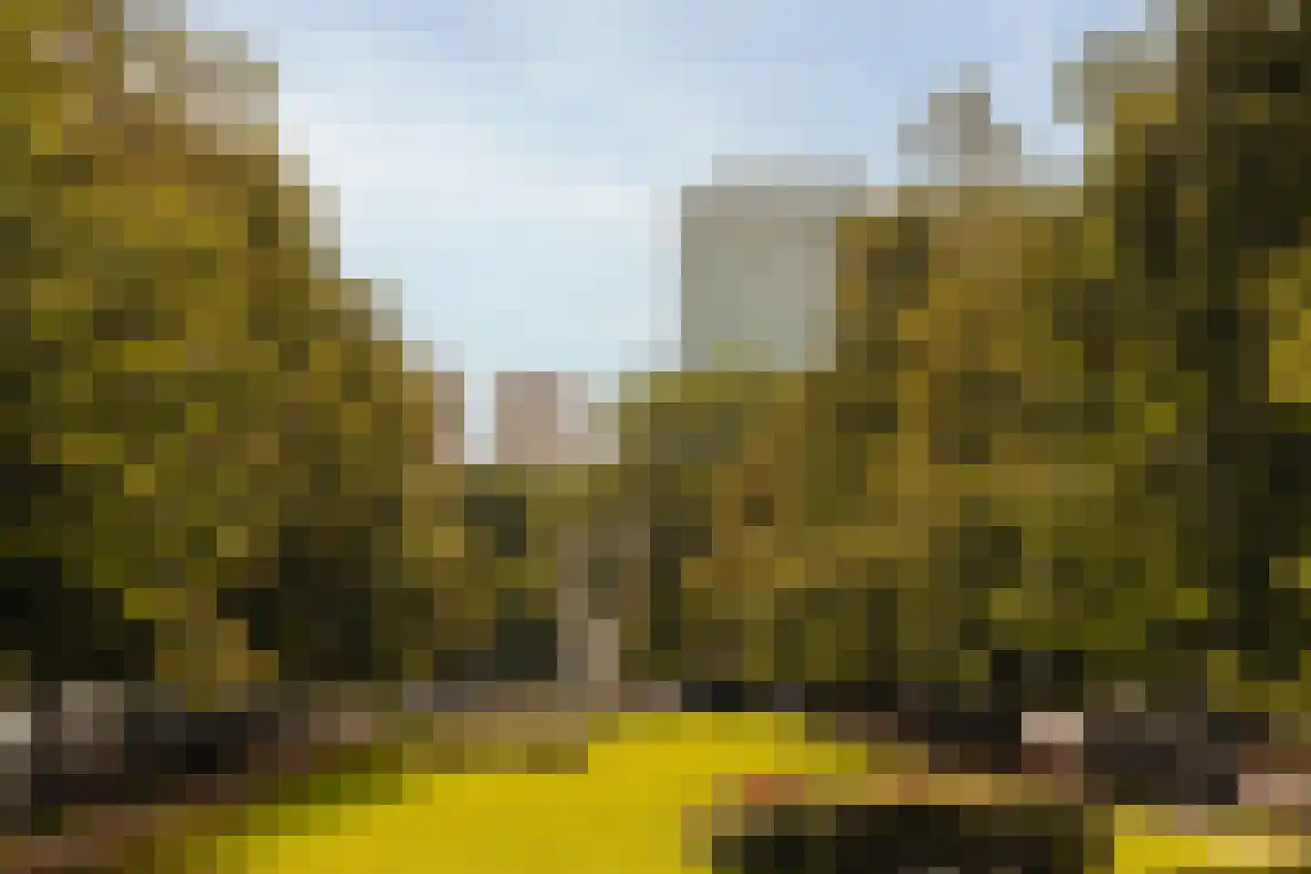Botticellistraat 33 Amsterdam thumbnail 53