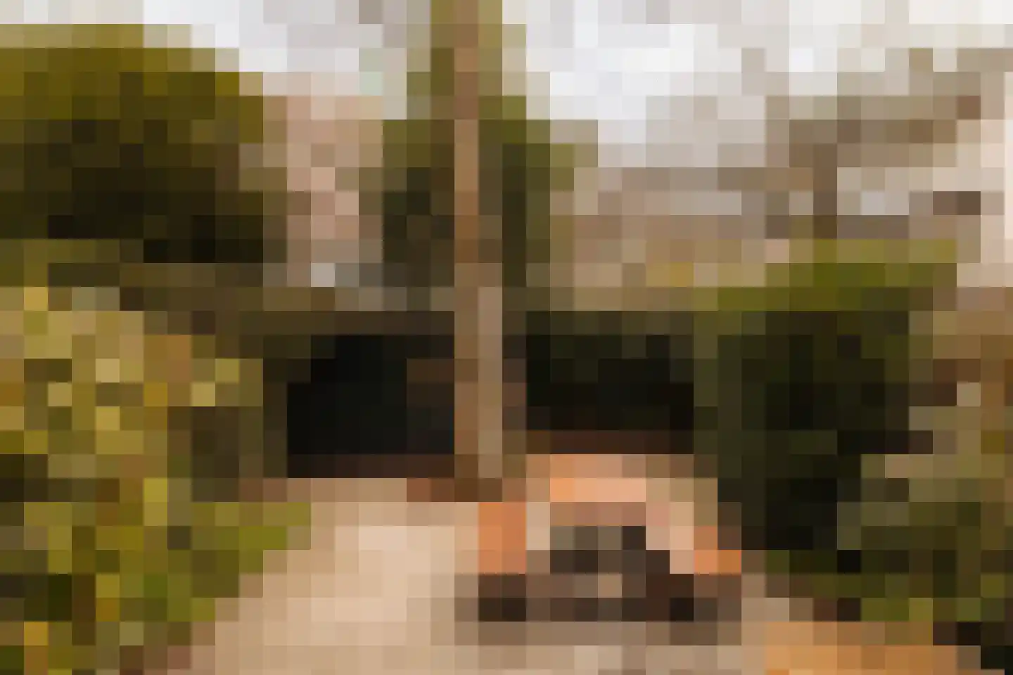 Botticellistraat 33 Amsterdam thumbnail 8