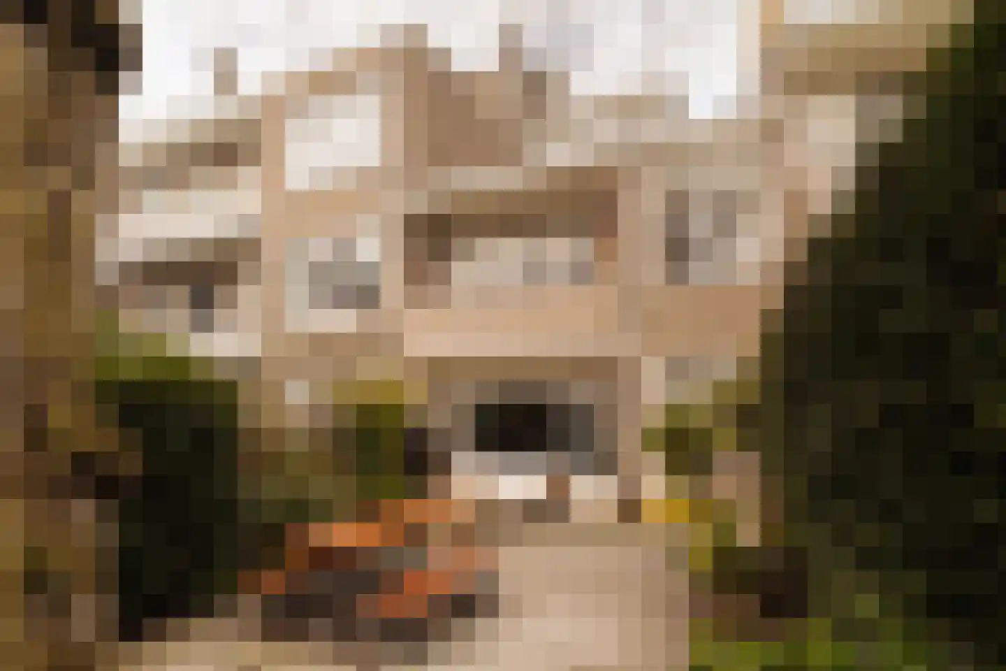 Botticellistraat 33 Amsterdam thumbnail 9