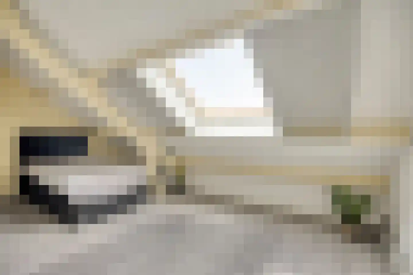 Botting 4 Maasland thumbnail 10